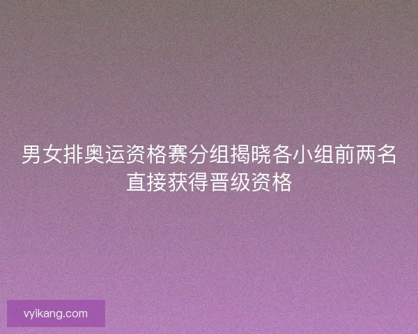 男女排奥运资格赛分组揭晓各小组前两名直接获得晋级资格